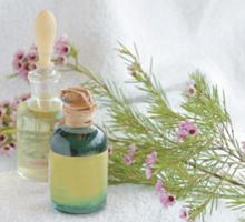 flavors--fragrances_220x220